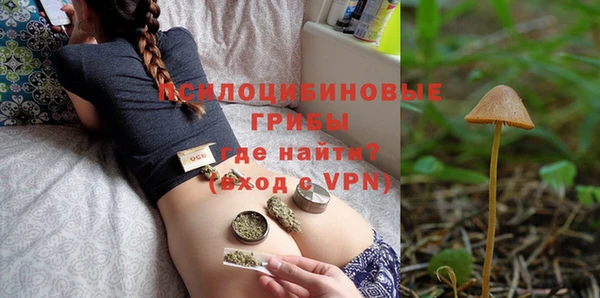не бодяженный Алексин