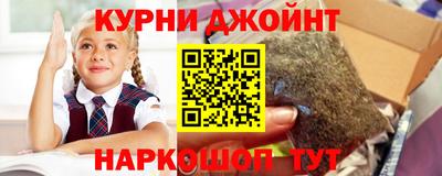 СК Холмск