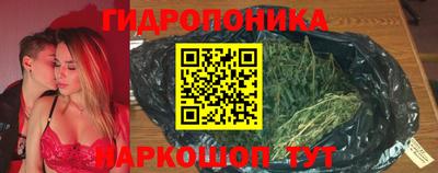 кокс Хасавюрт