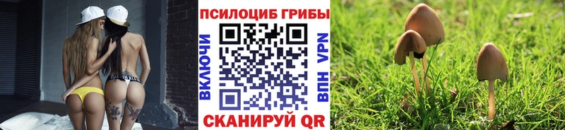Псилоцибиновые грибы мухоморы Архангельск